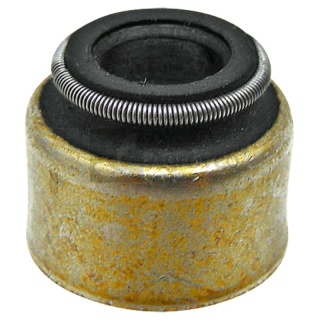 Uszczelnienie trzonka zaworu 38016692 3520530396, 577.901