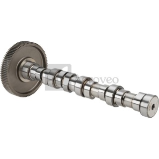 Wał krzywkowy 12056069 04909271, 04909270