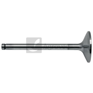 Zawór dolotowy 38006496 F824200410140