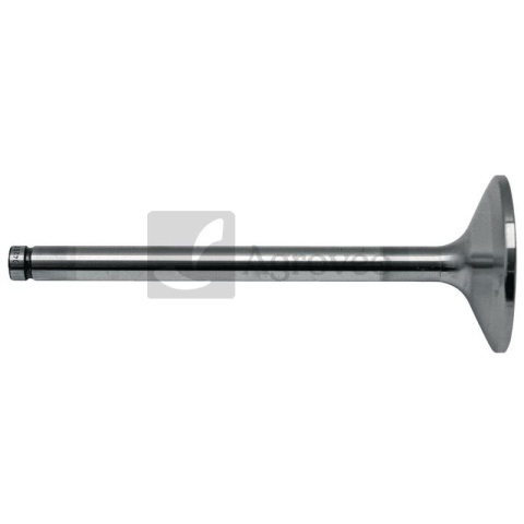 Zawór dolotowy 38006496 F824200410140