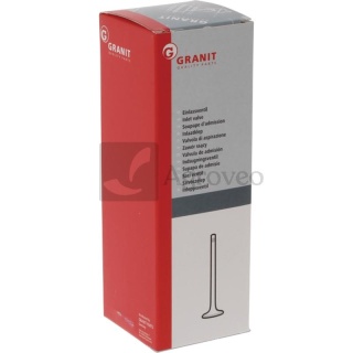 Zawór dolotowy 38015516 162000050703, T5265