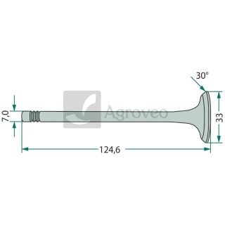 Zawór dolotowy 38017448 4895052