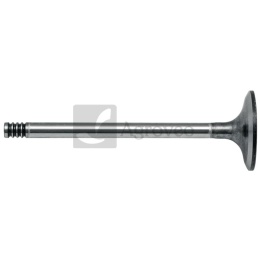 Zawór ssący 380002053 87802260, 87802256