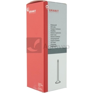 Zawór ssący 38001005 2401007014B4