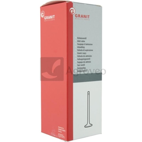 Zawór ssący 38001005 2401007014B4