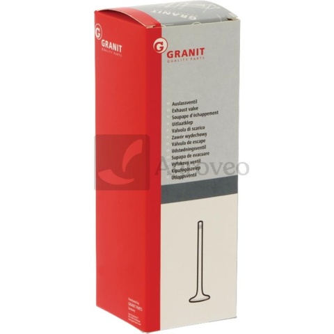 Zawór ssący 38002260 717374R1