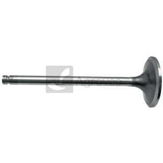 Zawór ssący 38002846 J924492