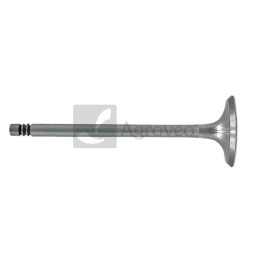 Zawór ssący 38004050 02137301, 04153631, 04159138, 04159136