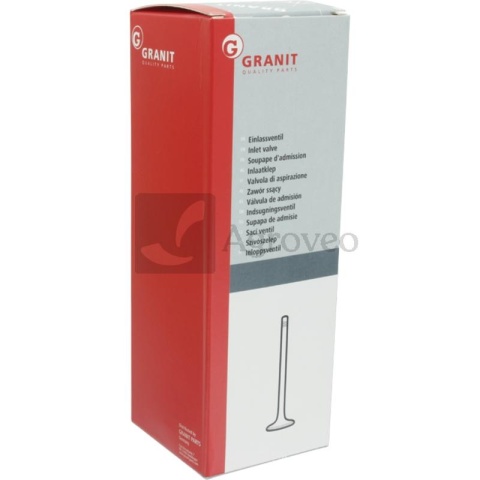 Zawór ssący 38004477 02133730