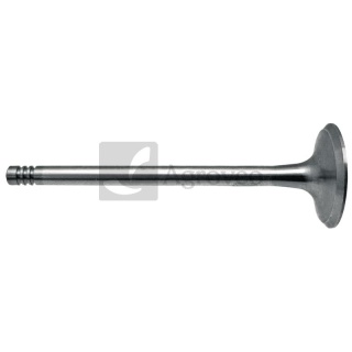 Zawór ssący 38004545 04170491