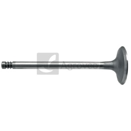 Zawór ssący 38004546 04170898