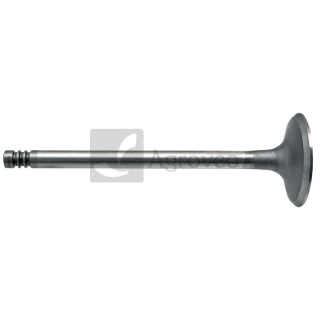 Zawór ssący 38004546 04170898