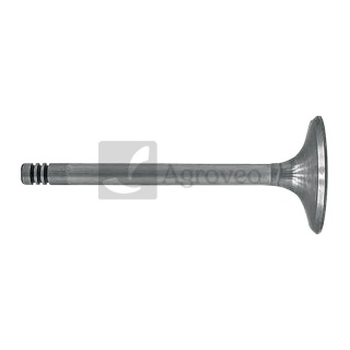 Zawór ssący 38006040 6005009608