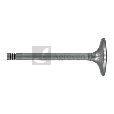 Zawór ssący 38006040 6005009608