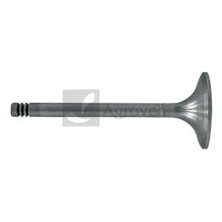 Zawór ssący 38006048 7701019251, F285200210230, 12160571