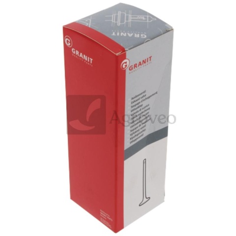 Zawór ssący 38006048 7701019251, F285200210230, 12160571