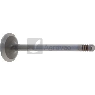 Zawór ssący 38006998 F339202210240, F716201210650, F716201210310