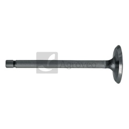 Zawór ssący 38012061 R52251, R79623