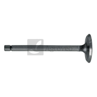 Zawór ssący 38012061 R52251, R79623