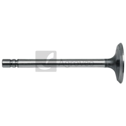 Zawór ssący 38012061/2 R52251, R79623