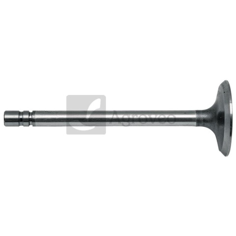 Zawór ssący 38012061/2 R52251, R79623