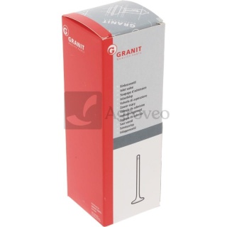 Zawór ssący 38012062 R51735, R89219