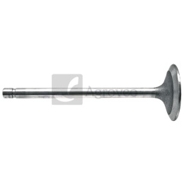 Zawór ssący 38012467 R84618, R504060