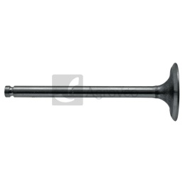 Zawór ssący 38015391 739060M1, 31431681M1