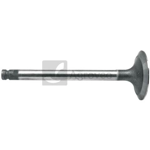 Zawór ssący 38015501 746823M1