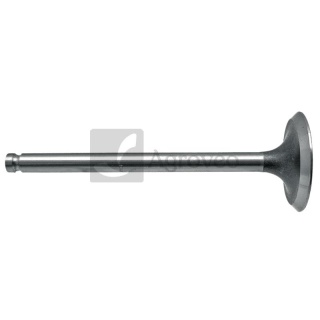 Zawór ssący 38015504 731151M1