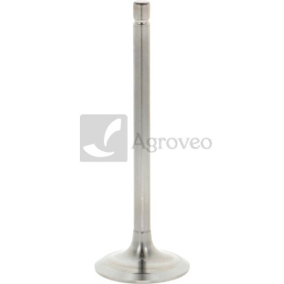 Zawór ssący 38017754 4621511, 4618868, 4802204