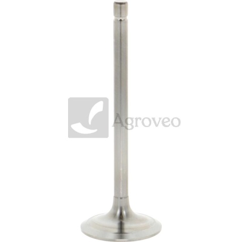 Zawór ssący 38017754 4621511, 4618868, 4802204