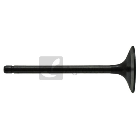 Zawór ssący 38017756 98473704, 4784888, 4824417, 99432652, 4803805, 4824416, 500042643