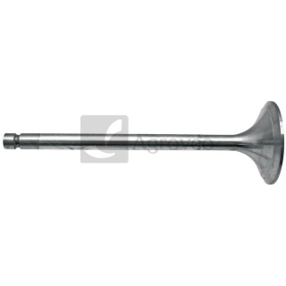 Zawór ssący 38021085 161160050001