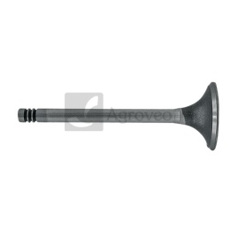 Zawór ssący 38060035 F183200210080