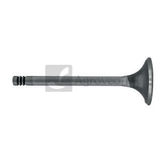 Zawór ssący 38060035 F183200210080