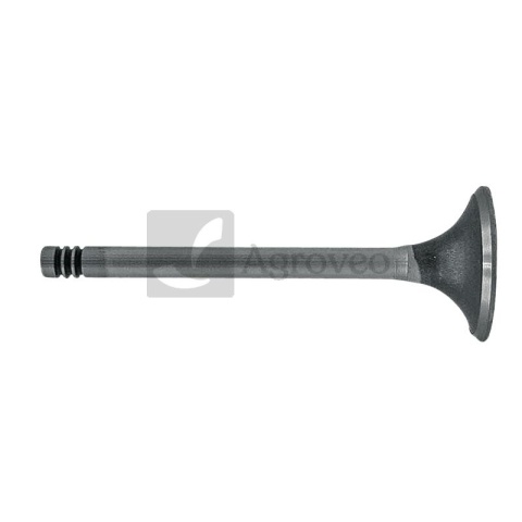 Zawór ssący 38060035 F183200210080