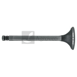 Zawór ssący 38060072 F238200210040