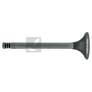 Zawór ssący 38060072 F238200210040