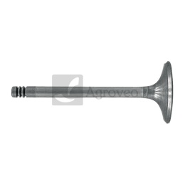 Zawór ssący 38060074 F199200210040