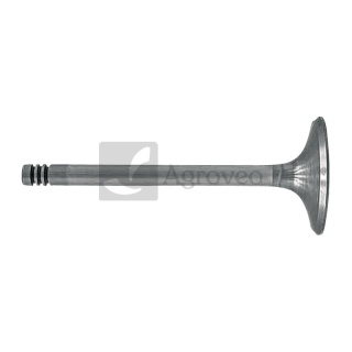 Zawór ssący 38060074 F199200210040