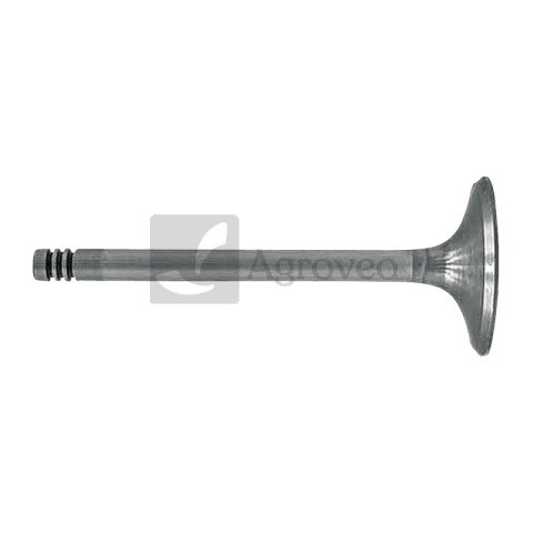 Zawór ssący 38060074 F199200210040