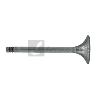 Zawór ssący 38060077 F384200210090