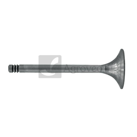 Zawór ssący 38060077 F384200210090