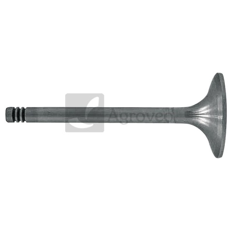 Zawór ssący 38060079 F384200210060, F285200210230