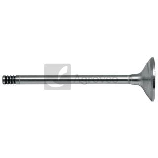 Zawór wydechowy 380002054 87802258