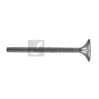 Zawór wydechowy 38002057 3055056R2