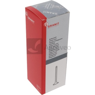 Zawór wydechowy 38002259 713385R2