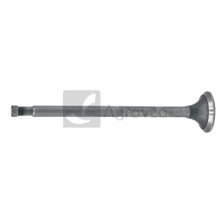 Zawór wydechowy 38002261 717375R1