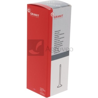 Zawór wydechowy 38002261 717375R1